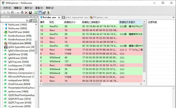 WSExplorer(网络抓包工具)