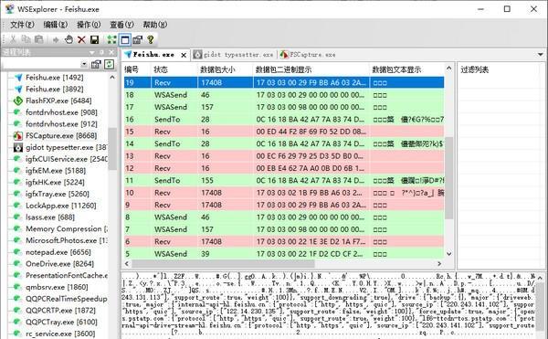WSExplorer(网络抓包工具)