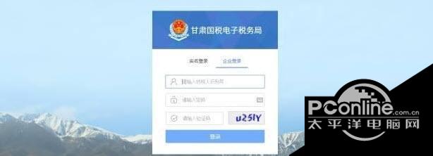 甘肃省国家税务局网络发票开票软件截图