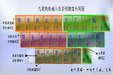 极点九笔输入法 1.0