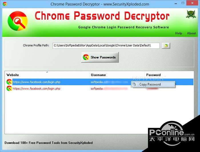 Chrome Password截图
