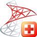 Recovery for SQL Server 截图