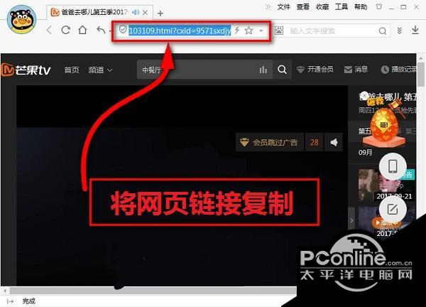 het player截图