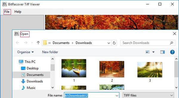 BitRecover Tiff Viewer(TIFF文件查看器)截图