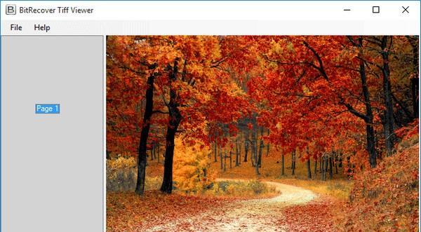 BitRecover Tiff Viewer(TIFF文件查看器)截图