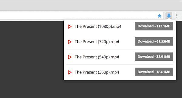Video Downloader professional chrome插件 2.0.9 官方版 Video Downloader professional chrome插件