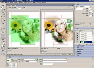 Macromedia Fireworks 8.0截图