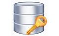 Cocosenor SQL Password Tuner 3.1.0截图