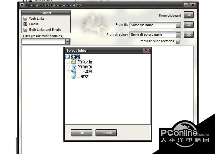Pegasus Email and Data Extractor Pro 4.3.01截图