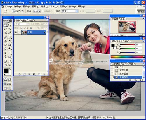 photoshop  7.0截图