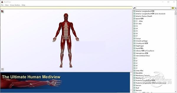 mediview 1.0 正式版 mediview