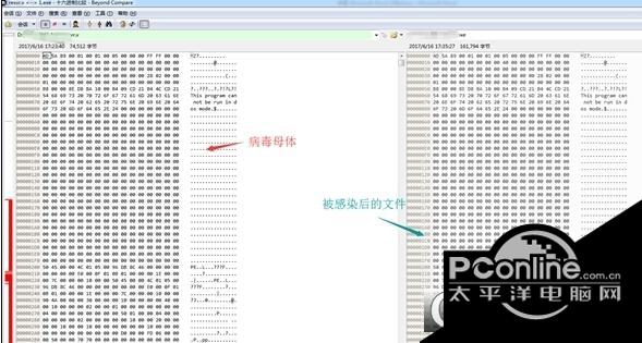 文件寄生虫病毒查杀软件截图
