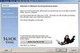 Slicksync Excel Synchronizer Basic 1.1截图