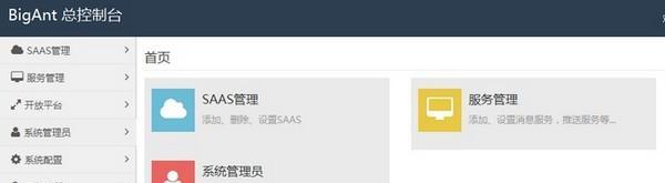BigAnt service(大蚂蚁服务端)截图
