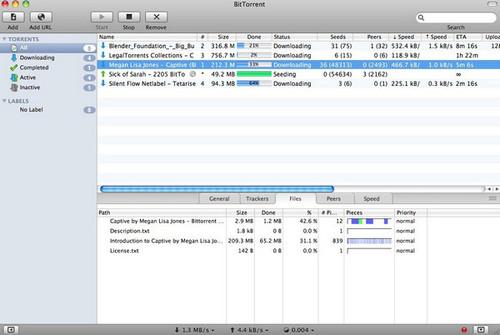 Bittorrent for mac截图