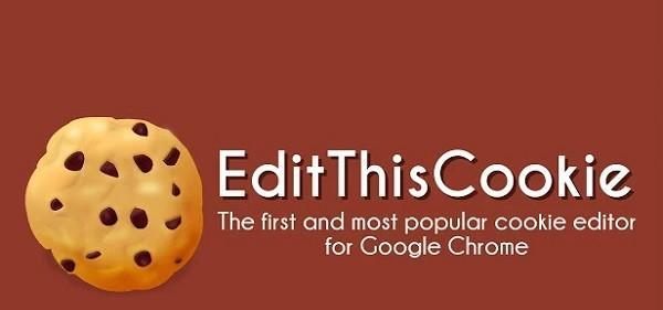 chrome edit this cookie插件截图