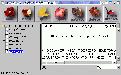iavaZIP 2.03截图