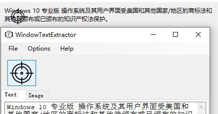 WindowTextExtractor(窗口文本提取)