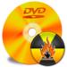 Im DVD截图