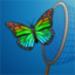 WinCapture 2009截图