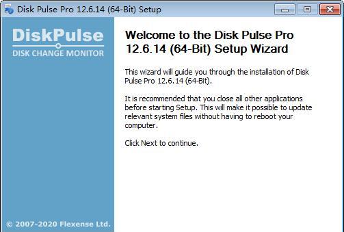 Disk Pulse Pro(磁盘监测工具)截图