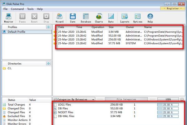 Disk Pulse Pro(磁盘监测工具)截图