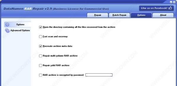 DataNumen RAR Repair(RAR文件修复工具)截图
