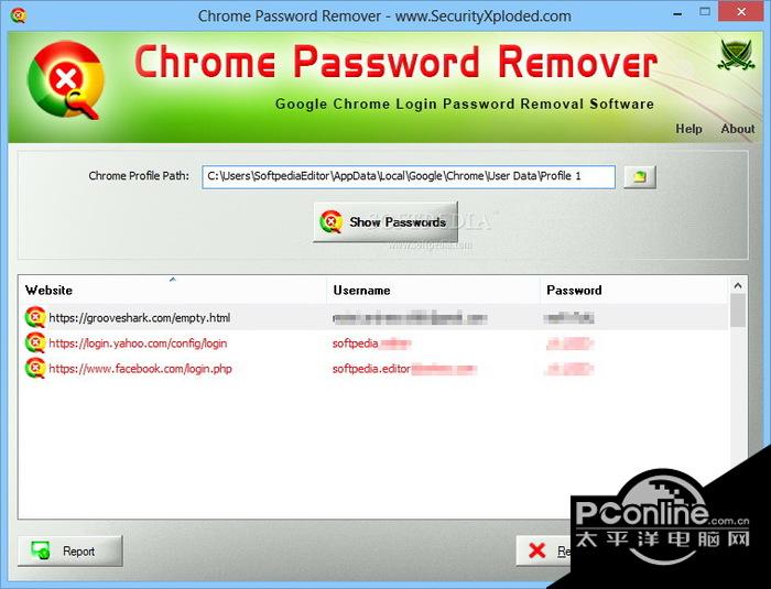 Chrome Password Remover 2.0截图