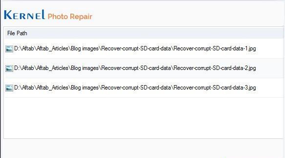 Kernel Photo Repair(图片修复软件)截图