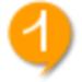 FlashTalk 2.1 Build 97截图