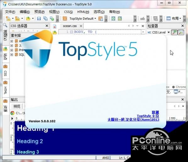 TopStyle Pro(CSS设计利器) v5.0.0.104截图