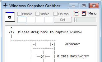 Windows Snapshot Grabber(屏幕截图软件) 2020.12.715.2774 免费版 Windows Snapshot Grabber(屏幕截图软件)