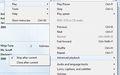 Windows Media Player Plus!截图