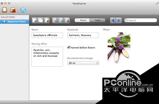 Symphytum For window 1.2 Build截图