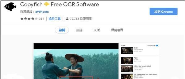 Copyfish chrome插件截图