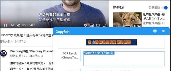 Copyfish chrome插件截图