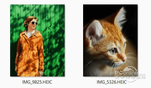 CopyTrans HEIC 1.004 正式版 CopyTrans HEIC