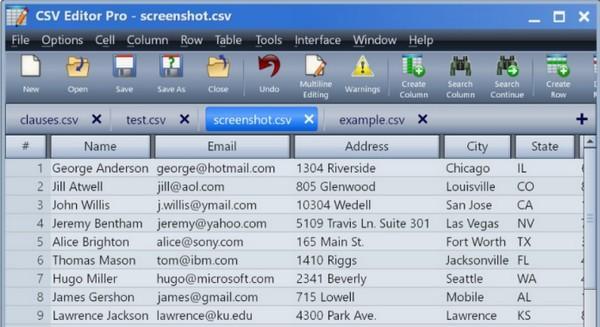 CSV Editor Pro(CSV文件处理软件)