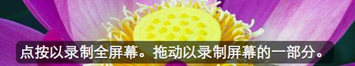 苹果视频播放器(Apple QuickTime)截图
