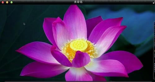 苹果视频播放器(Apple QuickTime)截图