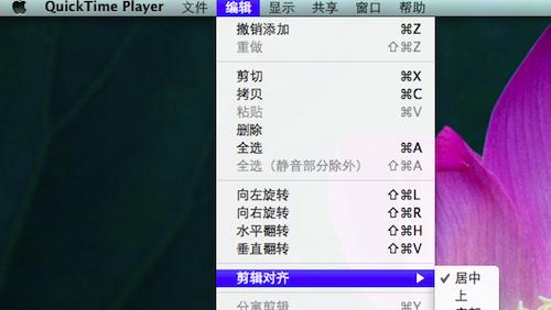 苹果视频播放器(Apple QuickTime)截图