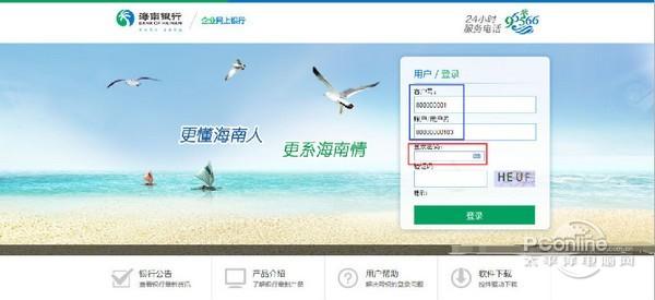 海南银行网银助手截图