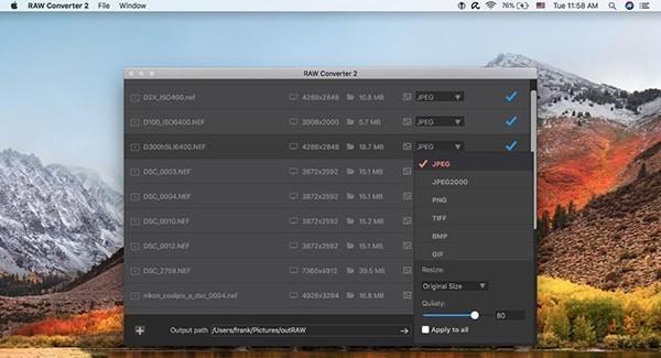 RAW Converter 2 Mac版截图