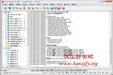 Alt-N MDaemon Pro 11.0.5截图