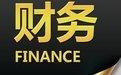 财务报表模板截图