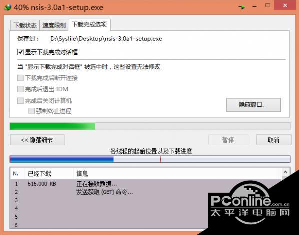 Internet Download Manager(idm下载器)截图