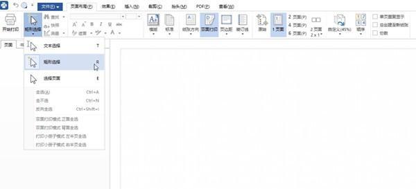 WPS高级打印(WPSPrinter)截图