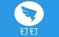 钉钉电脑版 6.3.40