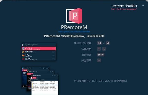 PRemoteM(远程桌面管理器)