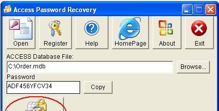 Access Password Recovery(密码恢复软件)截图